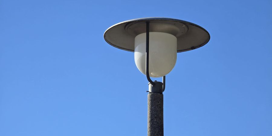 Der neue ökologische Lebensraum wird künftig die ganze Nacht von einer Strassenlampe beleuchtet.