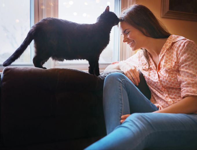 Ein Liebesbeweis von Katzen ist die Suche nach körperlicher Nähe. Katze, Frau