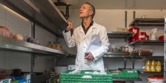 Keime im Essen - Fachkräfte fehlen: Kantone melden mehr Grüsel-Beizen