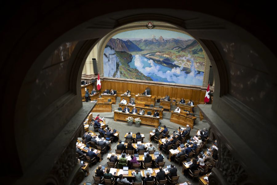 Der Präsident der «Freunde der FDP» denkt über eine Volksinitiative nach, die alle Ausgaben linear kürzen soll, wenn das Parlament schlecht budgetiert.