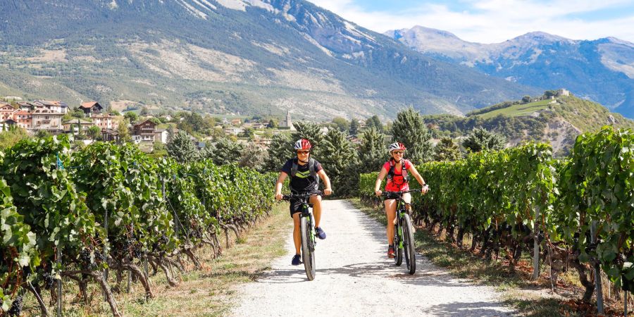 Weinanbau Biker Berge Panorama