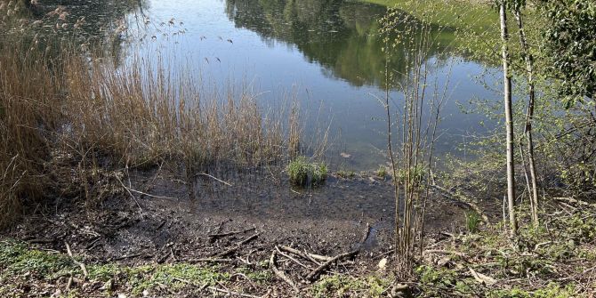 Siessenweiher Neuhaus