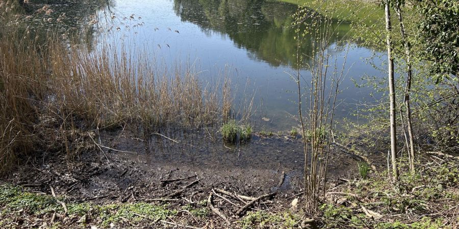 Siessenweiher Neuhaus