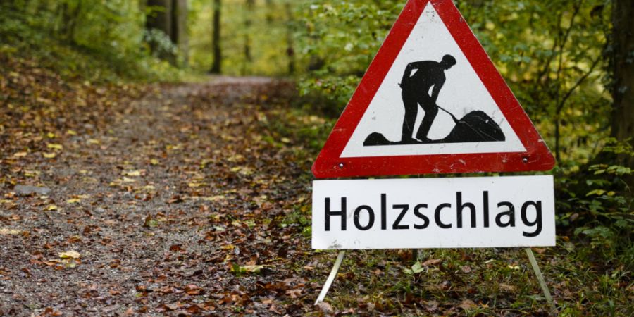 Laut der Beratungsstelle für Unfallverhütung in der Landwirtschaft wurden im letzten Jahr vier Personen tödlich von Stämmen oder Baumteilen erfasst oder getroffen. (Archivbild)