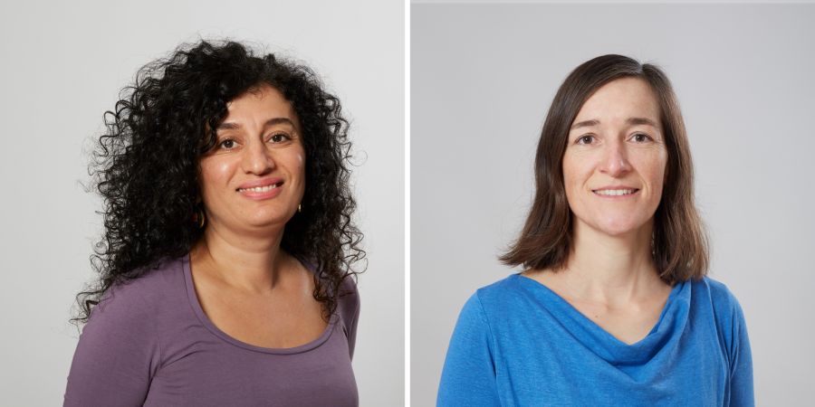 Grüne Fraktion Luzern