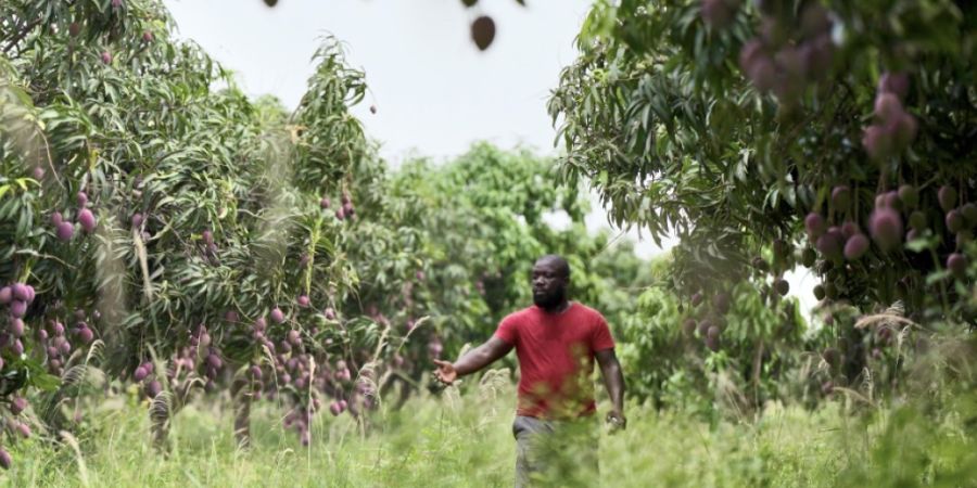 Der in Ungnade gefallene ehemalige UBS-Investmentbankers Kweku Adoboli in seiner neuen Heimat in Ghana.