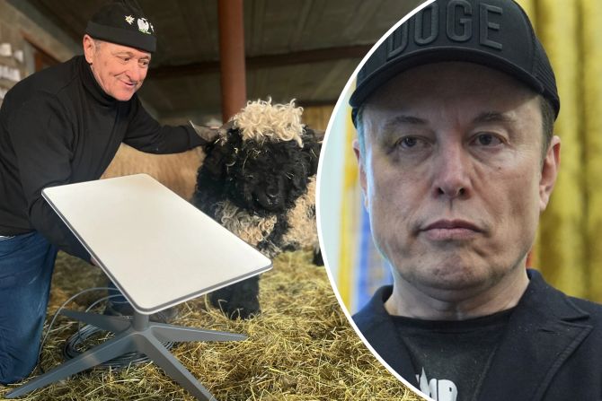 leuk elon musk starlink