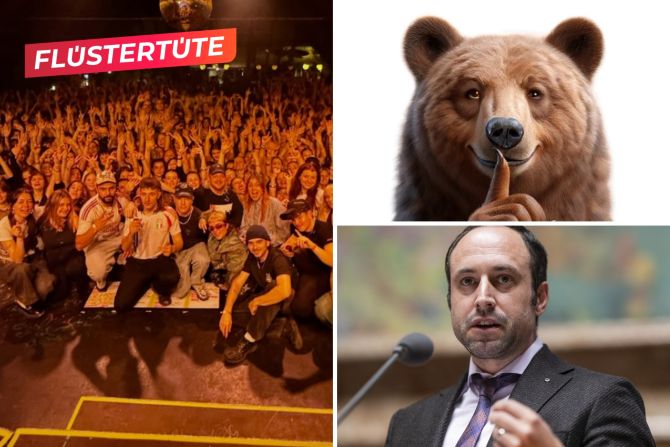 Flüstertüte Wasserfallen Jule X