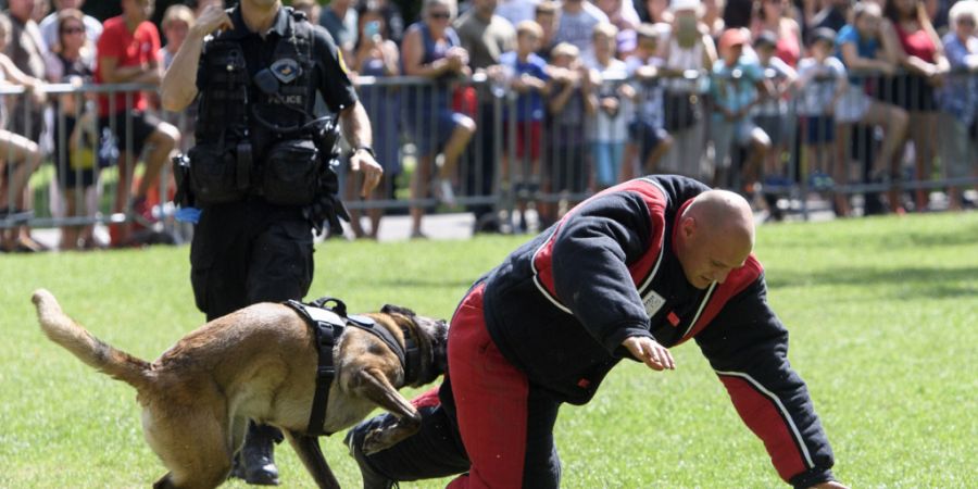 Ein Diensthund fällt bei einer Vorführung einen geschützten Mann an. (Archivaufnahme aus Genf)