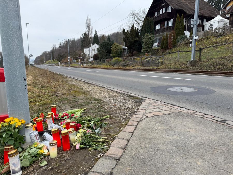 In Beinwil am See AG kam es vor wenigen Tagen zu einem tödlichen Trainsurfing-Unfall.