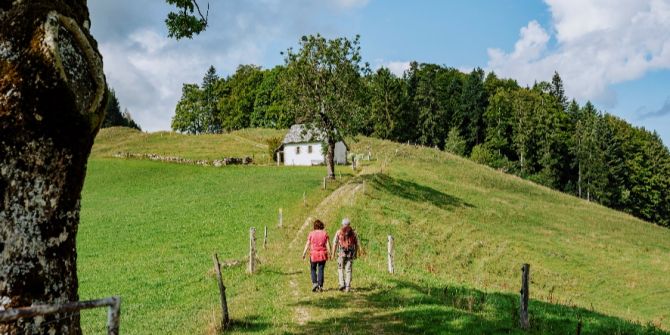 Natur Wanderweg Weide Park