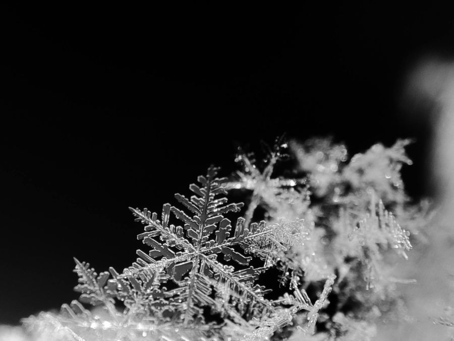 «Der Schmutz friert ein», sagt Pächter Michal Polak. Gereinigt werde jeweils am nächsten Morgen.