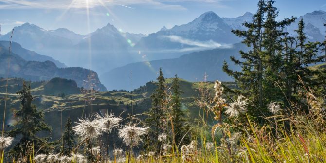 ViaBerna Schynige Platte