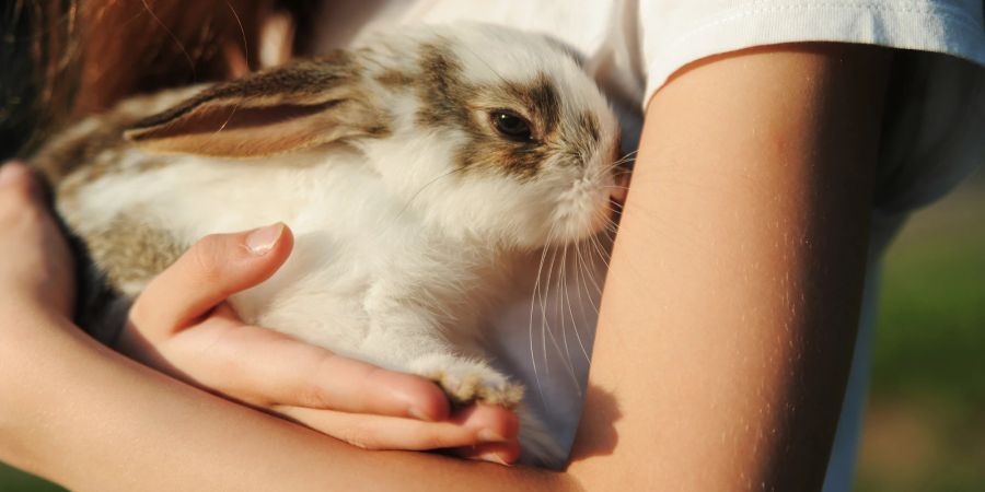 Kind hält Kaninchen im Arm