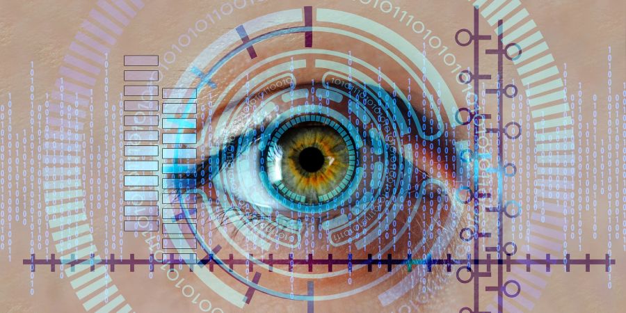 Biometrie Auge