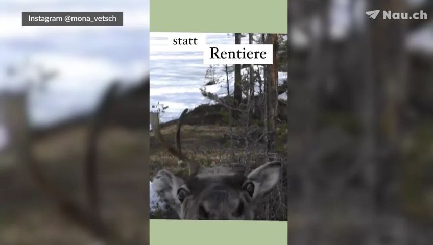 story-vetsch