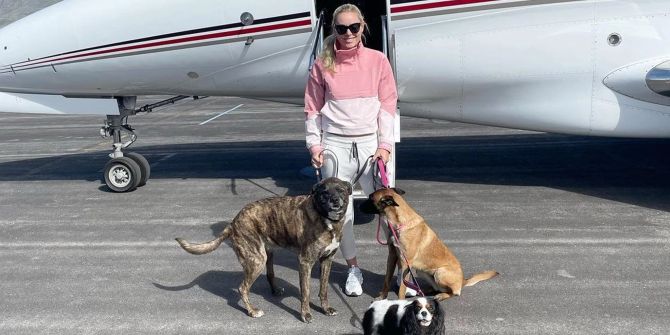 Lindsey Vonn Hunde Privatjet