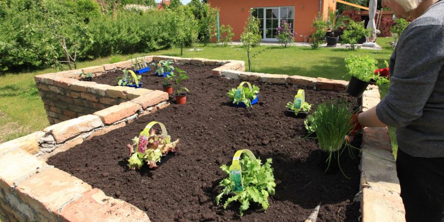 Blumenerde ist teuer. Daher ist es sinnvoll, nur die oberste Schicht eines Hochbeets damit zu füllen.