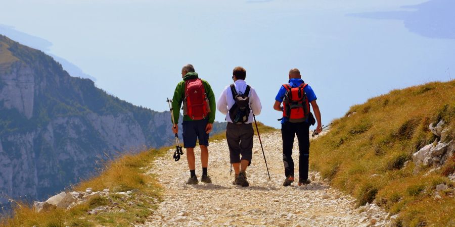 Männer Wanderweg Trekkinstock Aussicht Berg