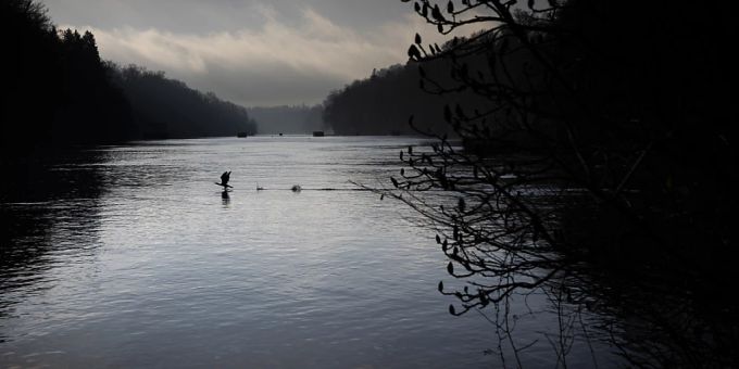 Am idyllischen Rheinufer bei Jestetten (D) wurde ein Mann getötet. Der Prozess gegen einen 39-jährigen Mann aus Lettland findet am Landgericht Waldshut-Tiengen statt. (Symbolbild) Am idyllischen Rheinufer bei Jestetten (D) wurde am 8. Juni 2023 ein Mann getötet. Der Prozess gegen einen 39-jährigen Mann aus Lettland findet am Landgericht Waldshut-Tiengen statt. (Symbolbild)