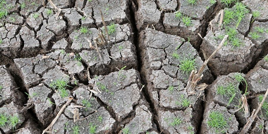 Die Dürre im Mittelmeerraum hat dem europäischen Erdbeobachtungsprogramm Copernicus zufolge über die Wintermonaten angehalten, was zum Teil zu Wassereinschränkungen und Dürre-Notständen geführt hat. (Symbolbild)