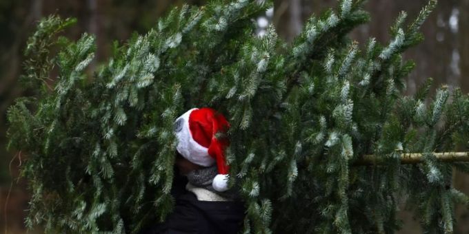 Mann mit Weihnachtsbaum Mann mit Weihnachtsbaum
