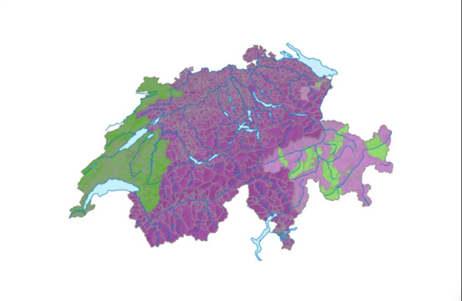 Ausländerstimmrecht Schweiz