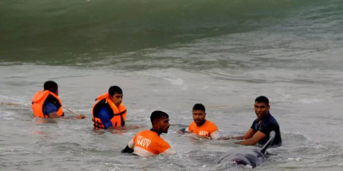 Küste vor Sri Lanka - Helfer retten 120 gestrandete Wale