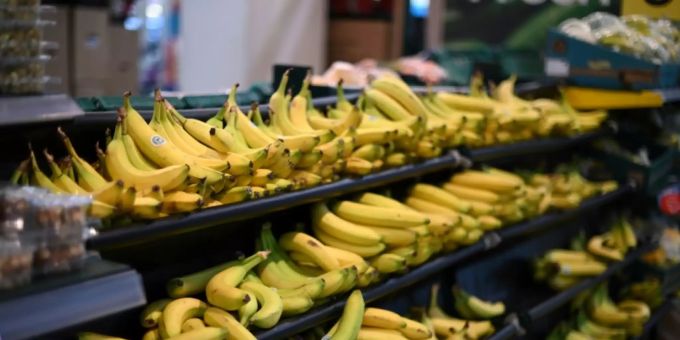 Bananen-Angebot im Supermarkt. bananen
