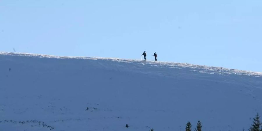 Laut einer Befragung im Spitzingseegebiet sind viele Tourengeher unbedarft im Gelände unterwegs. Foto: Frank Mächler/dpa