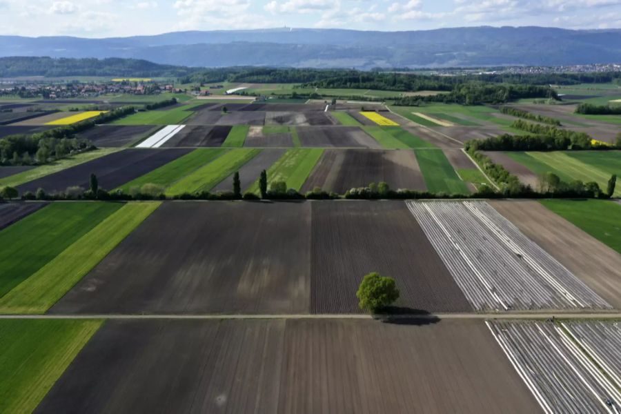 Landwirtschaft Seeland.