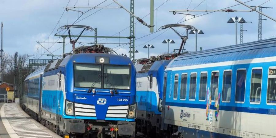 Fahren schon seit Jahren: Tschechische Intercitys auf der Strecke zwischen Prag und Hamburg. Foto: Soeren Stache/dpa-Zentralbild/ZB