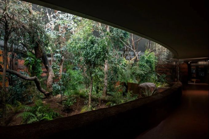 Das neu bepflanzte Australienhaus im Zoo Zürich Zoo Zürich