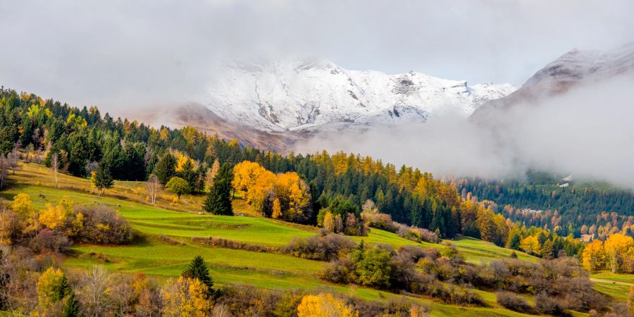 Herbstliches Landschaftsbild im Val Surses. - Kanton Graubünden