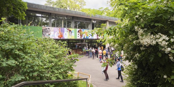 Basel - Zoo Basel verlangt ab dem 1. Juli höhere Eintrittspreise