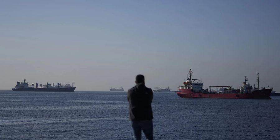 Laut UN-Angaben wurden über den Getreide-Korridor bisher insgesamt mehr als 9,9 Millionen Tonnen Waren verschifft. Foto: Khalil Hamra/AP/dpa