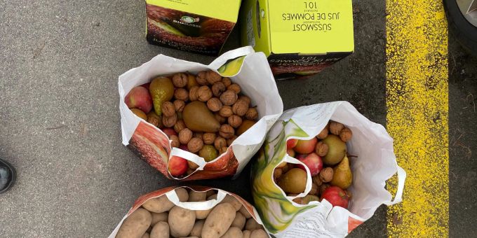 Cham: Eier, Baumnüsse und Kartoffeln gestohlen Cham_Eier, Baumnüsse und Kartoffeln gestohlen