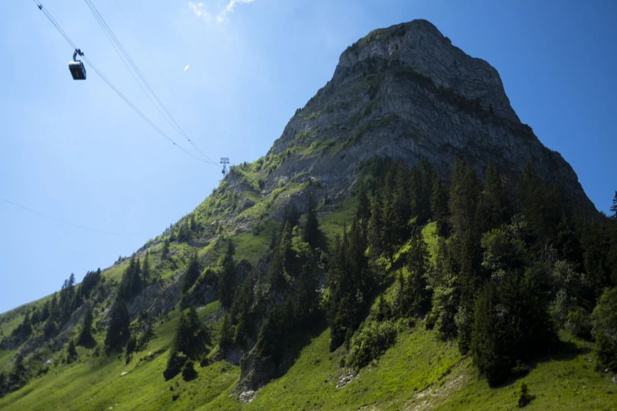 Seilbahn Schweiz Einnahmen Zunahme