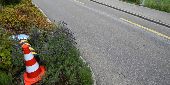 Niederuzwil: Fahrunfähig verunfallt