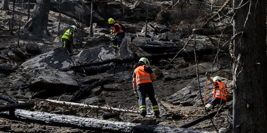 Der Waldbrand bei Bitsch VS hat sich stabilisiert, die Feuerwehr stellt ihre Arbeiten nach und nach ein. (Bild vom 28. Juli)