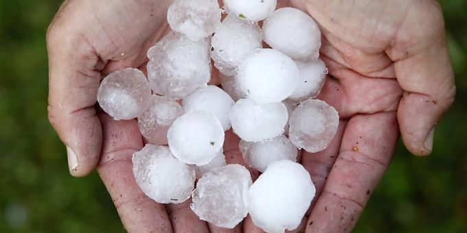 Um 25 Prozent - Hagel- und Frostschäden in der Schweiz gestiegen