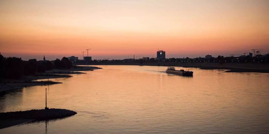 Ein Schiff fährt bei Sonnenuntergang auf dem Rhein bei Düsseldorf (D).