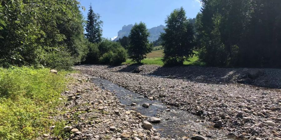 Auch in der Zulg bei Steffisburg BE fliesst wenig Wasser.