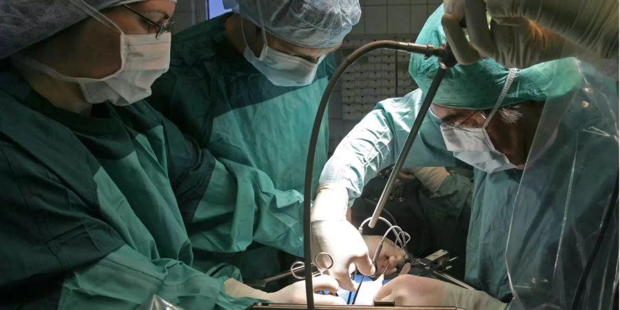 In der Klinik für Urologie am Universitätsklinikum wird bei einer Operation einem Spender eine Niere entnommen, die für eine Transplantation vorgesehen ist.