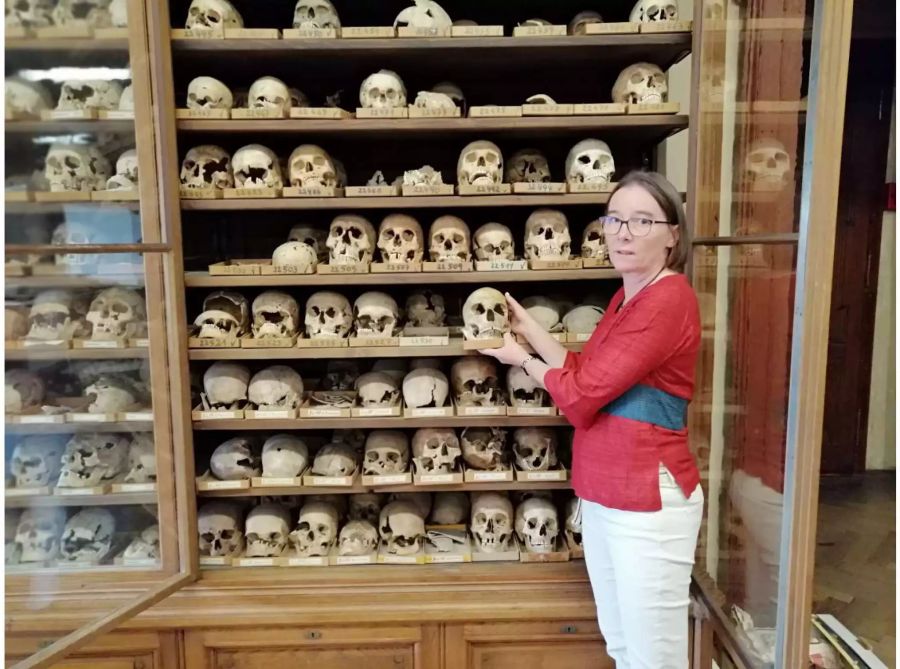 Die stellvertretende Leiterin der osteologischen Sammlung des Wiener Naturhistorischen Museum (NHM), Karin Wiltschke, vor einem der zahlreichen Glasschränke mit Schädeln.