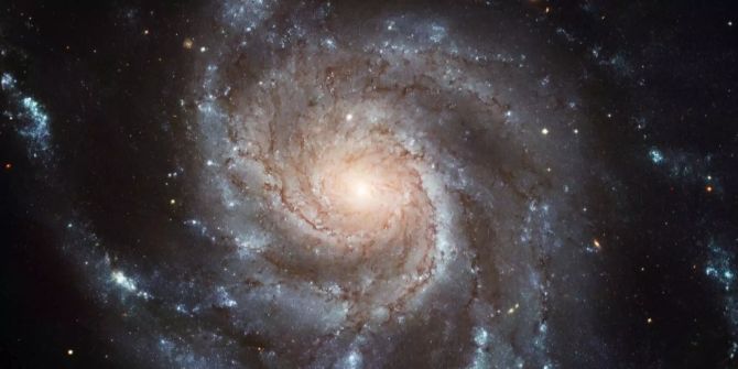 universum