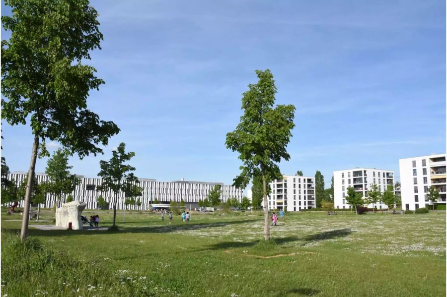 Frühling im Liebefeld Park, Foto: Daniel Bill