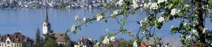 Bild: Gemeinde Oberrieden Bild: Gemeinde Oberrieden