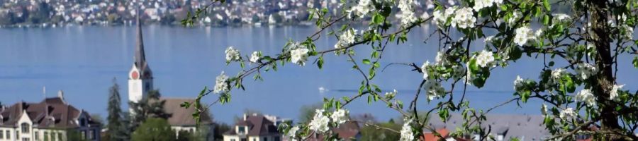 Bild: Gemeinde Oberrieden
