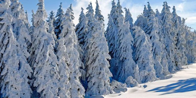 Weisse Weihnacht ist unser Ideal. Die Realität sieht aber oft anders aus. Weisse Weihnacht ist unser Ideal. Die Realität sieht aber oft anders aus.